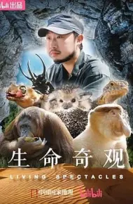 生命奇观