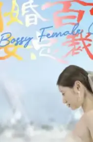 闪婚百亿女总裁