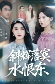 斜辉落寞水恨东
