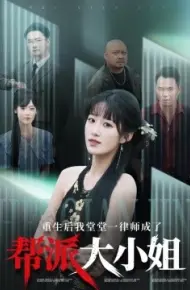 重生后我堂堂一律师成了帮派大小姐