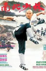 南北少林