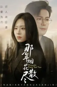 那年烟花散尽