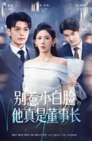 别惹小白脸,他真是董事长