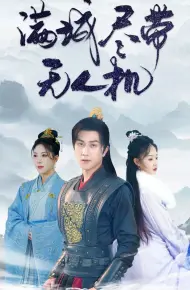 满城尽带无人机