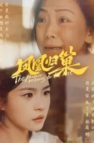 凤凰归巢