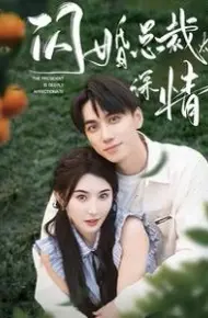 闪婚总裁太深情