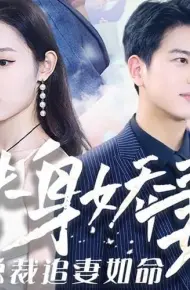 替身娇妻：总裁追妻如命