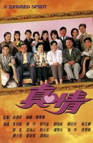 真情