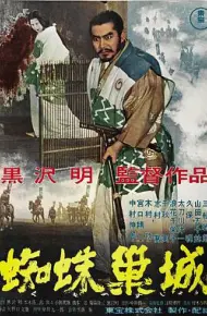 蜘蛛巢城