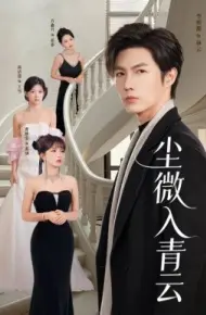 尘微入青云