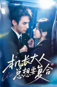机长大人总想要复合