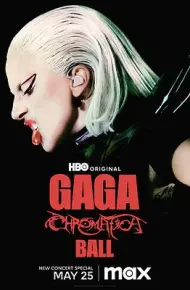 Lady Gaga：神彩巡回演唱会