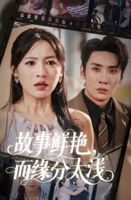 故事鲜艳而缘分太浅