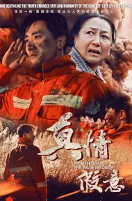 真情假意