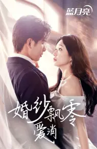 婚纱飘零爱消弭