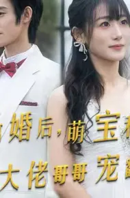 离婚后萌宝和三个大佬哥哥宠翻我