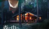 森林中的餐厅