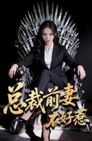 总裁前妻不好惹
