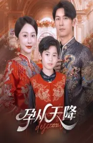 孕从天降