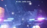 西部警官