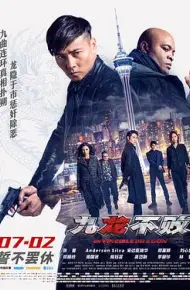 九龙不败