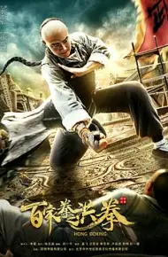 百家拳之洪拳
