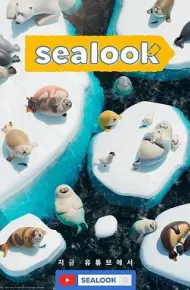 海豹看看