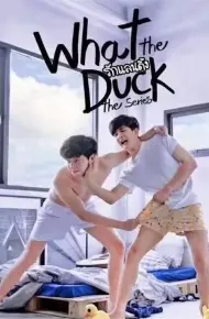 爱的着陆第一季