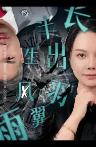 半生风雨长出羽翼