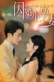 新闪婚小孕妻