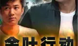 金叶行动