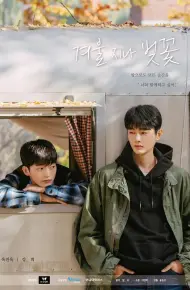 冬后是樱花