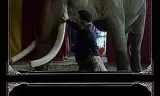 大象永不忘记