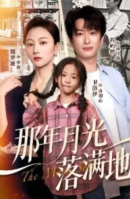 那年月光落满地
