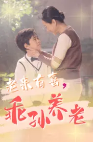 老来有喜乖孙养老