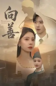 向善 苦果