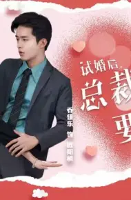 试婚后,总裁玩命要娶我