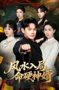 风水入局，命硬神婿