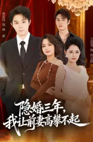 隐婚三年我让前妻高攀不起