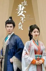 唯妻不负