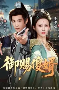 御赐傻婿