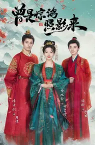 曾是惊鸿照影来
