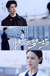 恍若大梦一场