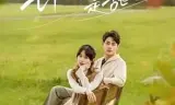 七月的风是甜的