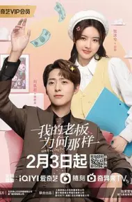 我的老板为何那样