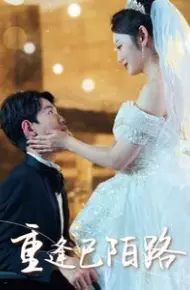 重逢已陌路（林千金她装不下去了）（她如月光碎向星夜）