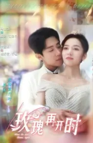 玫瑰再开时