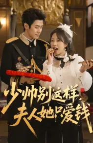 少帅别这样,夫人她只爱钱