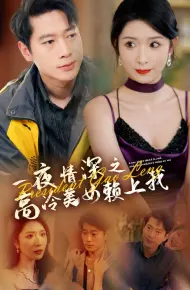 一夜情深之高冷美女赖上我