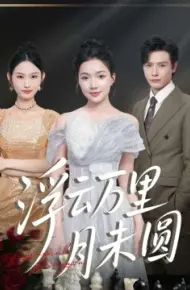浮云万里月未圆